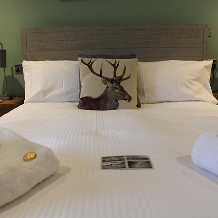 The White Lion Bed and Breakfast Ventnor Exteriör bild